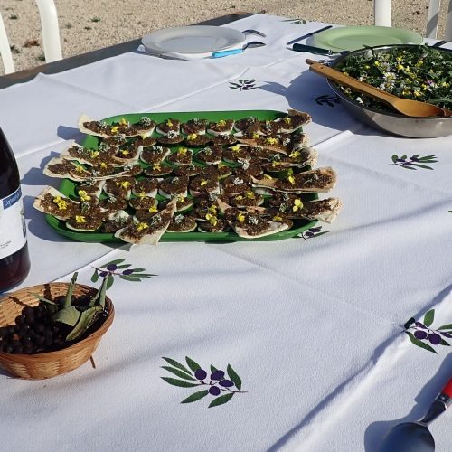 Repas Sauvage Calanques