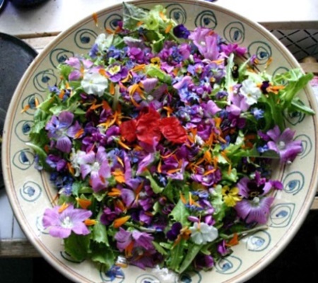 Salade Fleurie