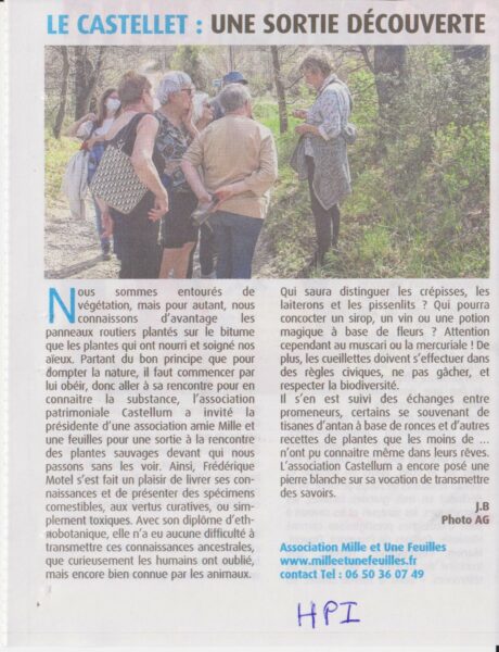 Article Provence Castellum
