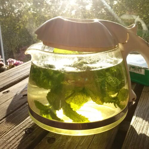 Tisane Menthe Melisse