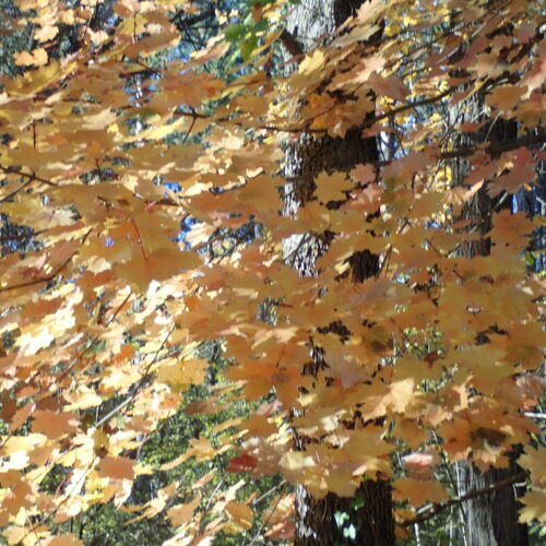 10Mallemoisson 28 10 25