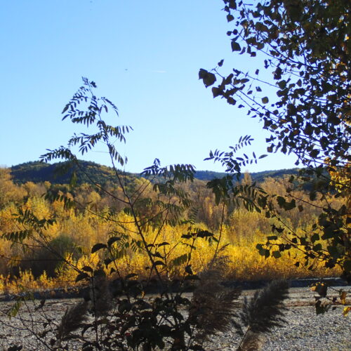 12Mallemoisson 28 10 25