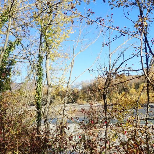 13Mallemoisson 28 10 25