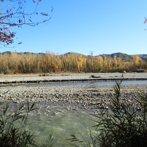 14Mallemoisson 28 10 25