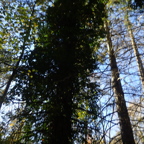 22Mallemoisson 28 10 25