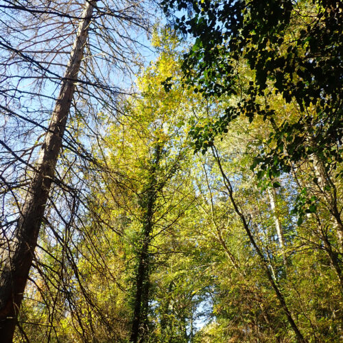 23Mallemoisson 28 10 25