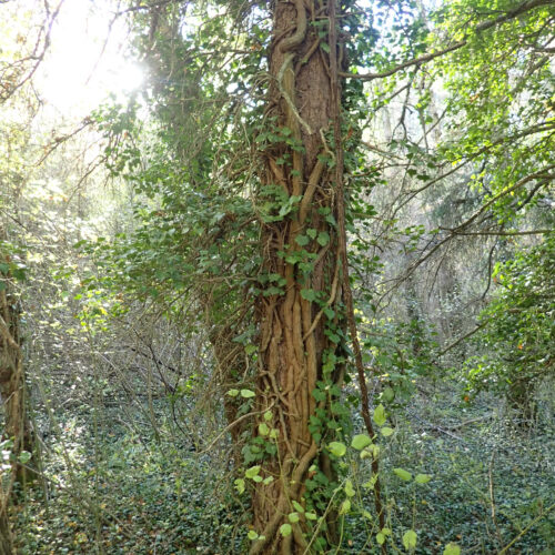 24Mallemoisson 28 10 25