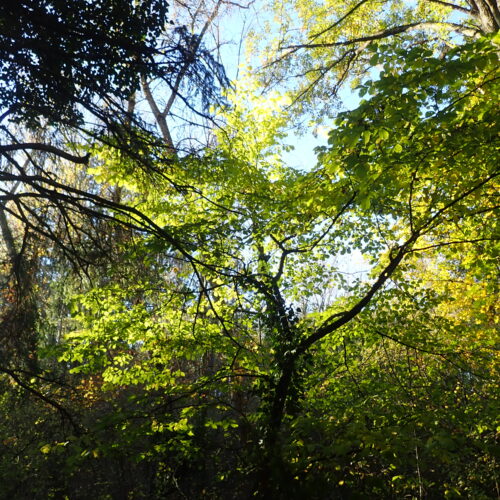 25Mallemoisson 28 10 25