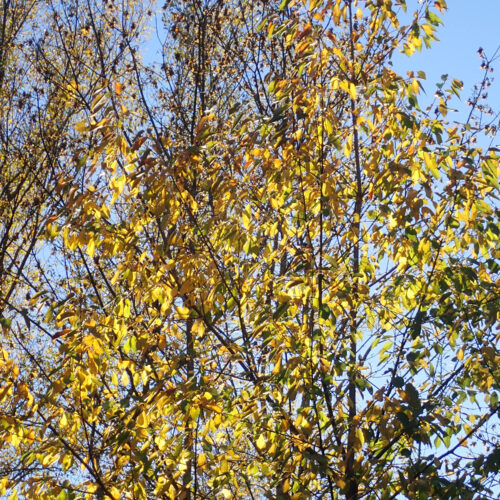 27Mallemoisson 28 10 25