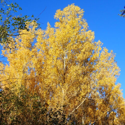 28Mallemoisson 28 10 25