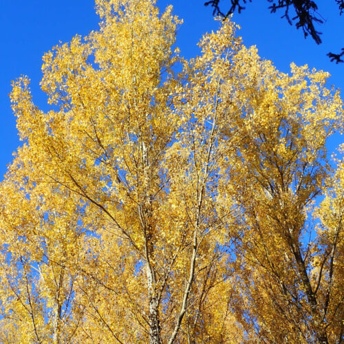 29Mallemoisson 28 10 25