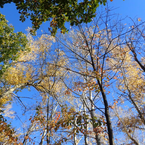 2Mallemoisson 28 10 25