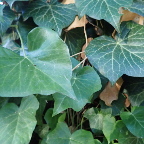 30Mallemoisson 28 10 25