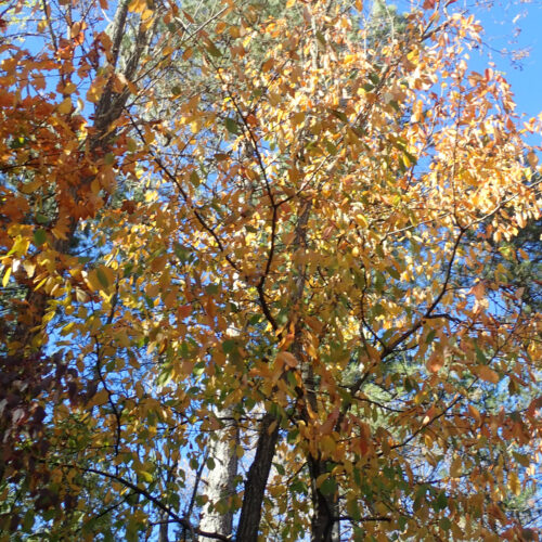 5Mallemoisson 28 10 25