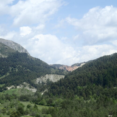 P5310072Feissal 01 06 2528