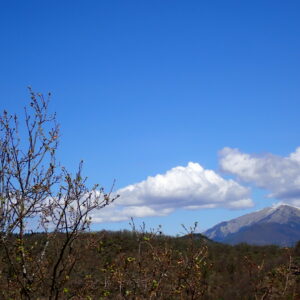 10Vallon Des Thermes Digne 15 04 26