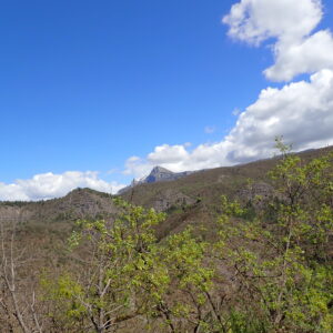 12Vallon Des Thermes Digne 15 04 26