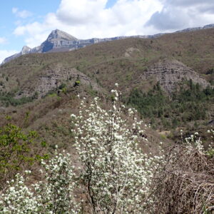 14Vallon Des Thermes Digne 15 04 26