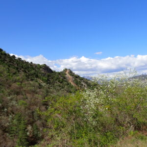 35Vallon Des Thermes Digne 15 04 26