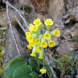 7Vallon Des Thermes Digne 15 04 26