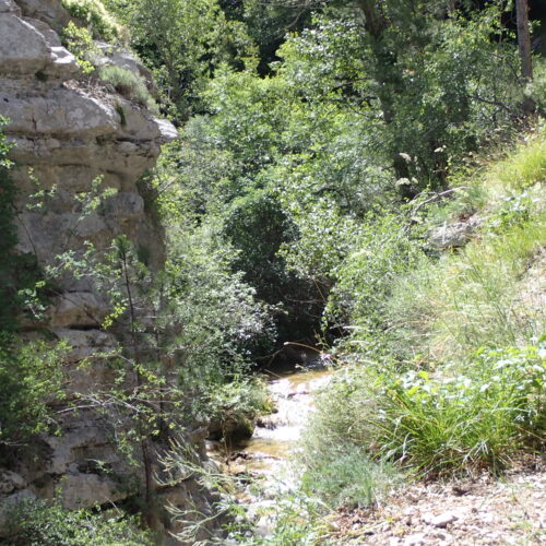 StGenis 15 06 26 63