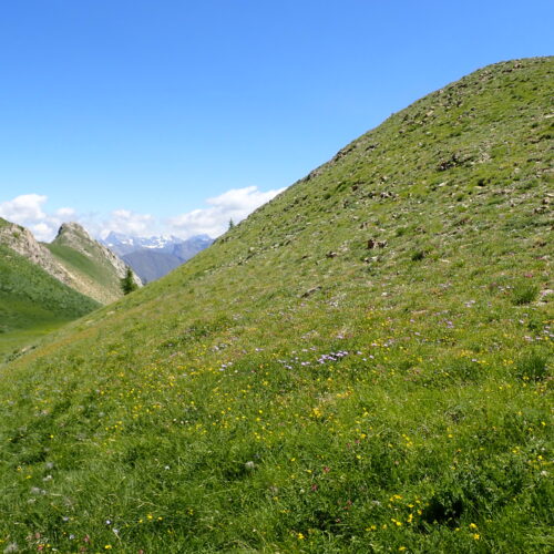132Gleize 01 07 26