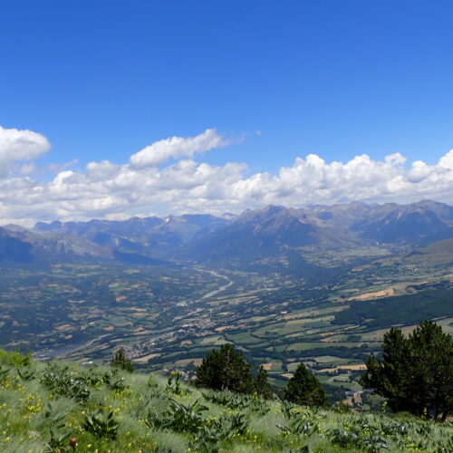 203Gleize 01 07 26